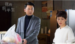 我的前半生电视剧演员表,实力派明星齐聚演绎人生百态